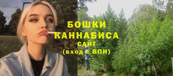 стафф Верхний Тагил